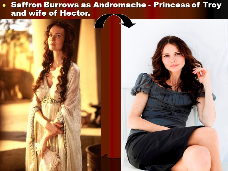 Saffron Burrows as Andromache - Princess of Troy and wife of Hector.